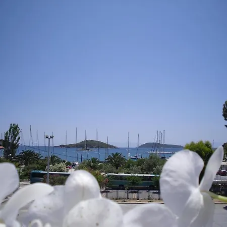Ifigenia Skiathos Town